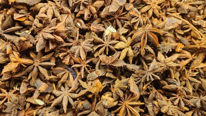 Star anise (Illicium verum) pods are densely clustered, showcasing their distinct star shape with eight points. The pods are dried, brown, and have a woody texture. Each pod contains seeds encased wit