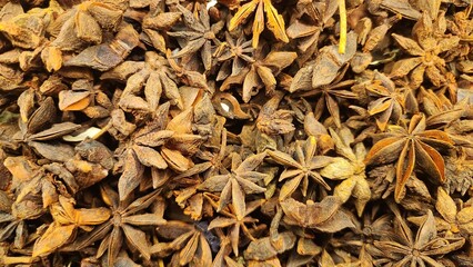 Star anise (Illicium verum) pods are densely clustered, showcasing their distinct star shape with eight points. The pods are dried, brown, and have a woody texture. Each pod contains seeds encased wit