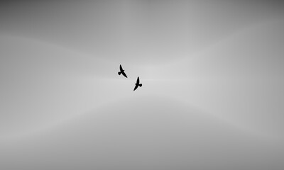 Minimalist silhouette of two birds flying against abstract gray gradient background, symbolizing freedom and peace