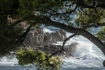 coastal view with waves crashing against dark, rugged cliffs. The foreground is naturally framed by...