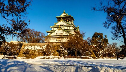 Snowy castle in winter