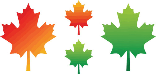Colorful maple leaves in autumn hues