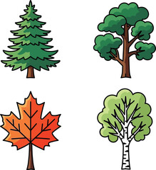 Four tree species, including fir, oak, maple, and birch