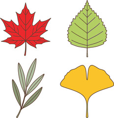 Four leaf types, including maple, birch, olive, and ginkgo