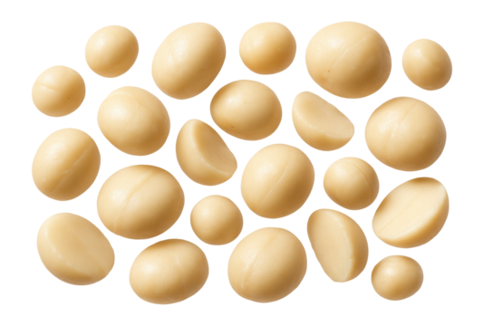 Assorted shelled macadamia nuts arranged from top view.
