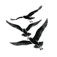 Obraz premium Flock of Flying Seagulls Black Silhouette Vector Illustration Graphic Design
