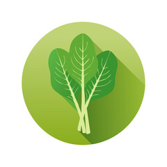 Illustration of spinach leaves within a round green shape, healthy eating concept.