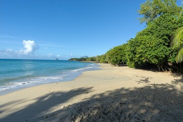 Plage de sable blanc de Martinique 
