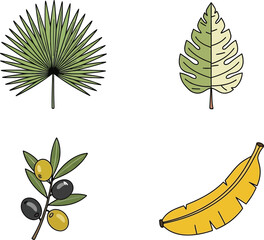 Set of plant leaves in nature concept vector illustration
