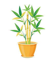 Bamboo plant vector illustration in pot for interior design and decoration projects
