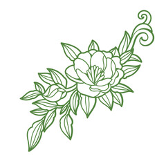 Green Floral Line Art Elegant Flower and Leaf Design Element.