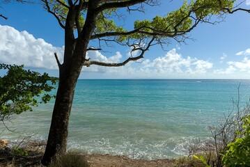 Plage de sable blanc de Martinique 