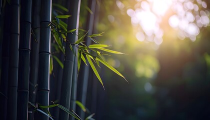 Close-up of green bamboo stalks with fresh leaves, illuminated by natural sunlight in a forest, creating a peaceful, calm, and serene atmosphere of nature.