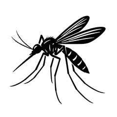 mosquito with black and white concept
