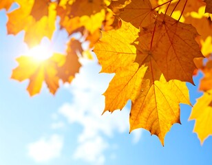 Obraz premium Autumn leaves against a bright sky (1)