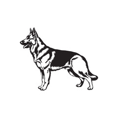 German Shepherd Dog Standing Black and White Vector Illustration
