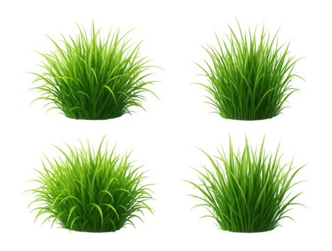 Four clumps of lush green grass representing nature and growth.