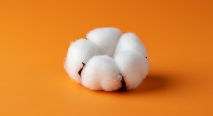 Obraz premium A single cotton boll on an orange background