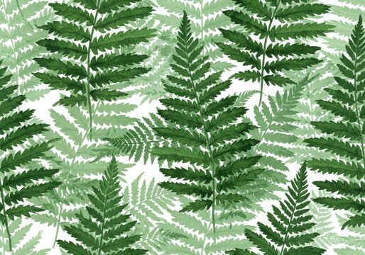 Seamless pattern of green fern leaves on a white background, watercolor illustration, botanical background