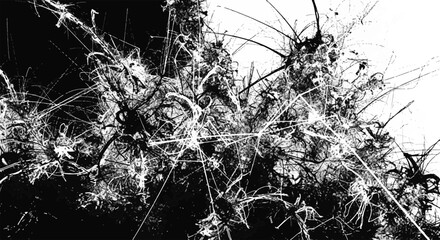 Abstract chaotic black and white texture with tangled spiky lines and fragmented shapes, representing complexity, disruption, and modern digital aesthetics.