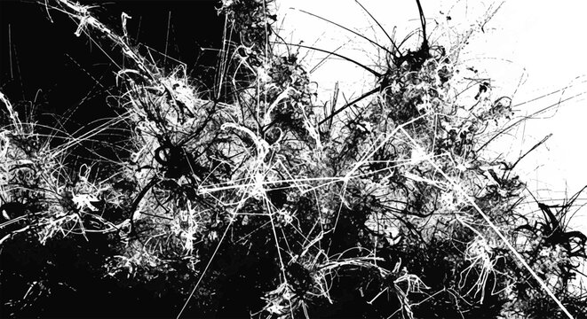 Abstract chaotic black and white texture with tangled spiky lines and fragmented shapes, representing complexity, disruption, and modern digital aesthetics.