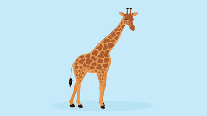 Obraz premium Giraffe isolated on blue background. Flat style vector illustration.