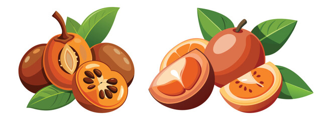 Fresh sapodilla fruit illustration vector design for healthy food and organic products
