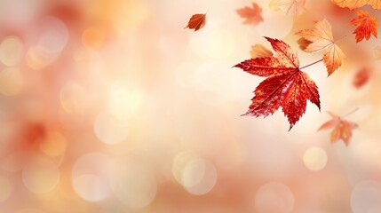 A blurred autumn background with space available for text, showcasing bright autumn leaves, featuring red and orange maple leaves as key elements of the season.