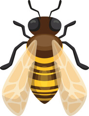 A cartoon bee with brown and yellow stripes and translucent wings