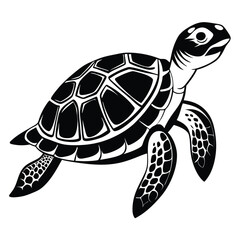 turtle vector illustration