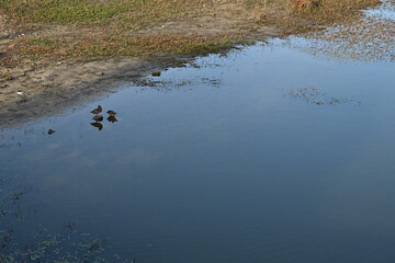 Manzanares el real , La Pedriza