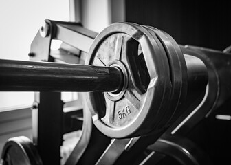 weight machine and barbell discs in an athletic gym