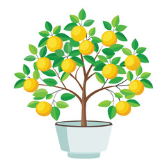 Orange tree illustration in pot, citrus fruit tree clip art, vector design, plant drawing
