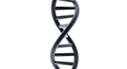 Isolated helix model of DNA strand for science studies and genetic research in medicine