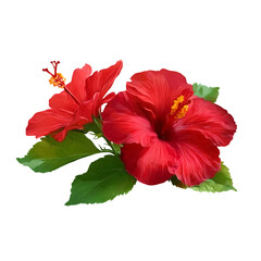 Fototapeta premium Vibrant Tropical Hibiscus, Artistic Botanical Flower Illustration Isolated on White