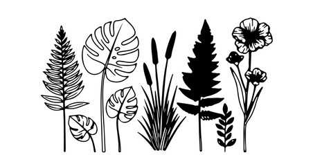 Fototapeta premium Botanical outline, a collection of plants and flowers for naturethemed designs