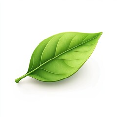 Fototapeta premium Vibrant green leaf, detailed illustration, isolated on white