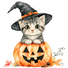 A cute kitten in a witch hat sits atop a carved pumpkin for Halloween.