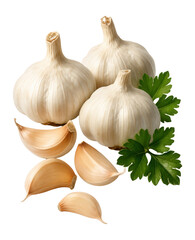Garlic bulbs, cloves, and parsley leaves arranged together.