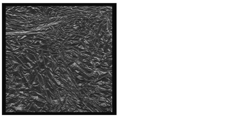 Frame View of Wrinkled Plastic Wrap Texture - Transparent Overlay, Creased Film, Edge Element, Grunge Background, Modern Abstract Effect