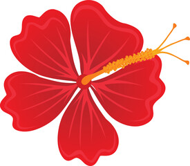 Illustration of Red Hibiscus Flowers Clipart 