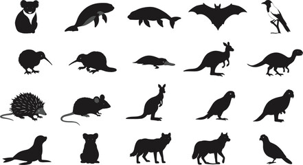 Silhouette collection of Australian animals including kangaroo, koala, platypus, echidna, parrot, dingo, kiwi, bat, seal, lizard in black wildlife vector illustration design