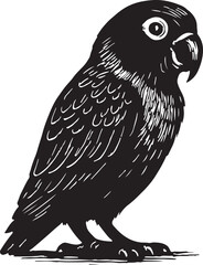 Silhouette of a small parrot with detailed feathers standing on a white background ink drawing style