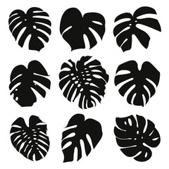 Black tropical palm leaves collection. Elegant monochrome nature set. Vector illustration