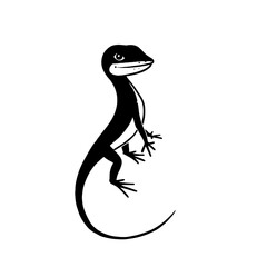 Anole. Anole simple black and white line art vector logo