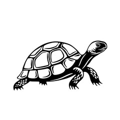 Box Turtle. Box Turtle simple black and white line art vector logo