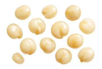 Isolated quinoa grains.