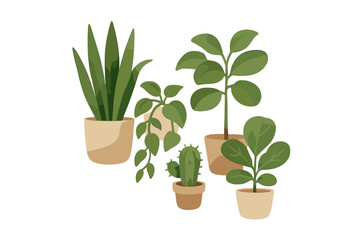 Assortment of popular indoor green potted plants including snake plant, cactus, and leafy varieties for home decoration