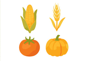 Fresh autumn produce with corn on the cob, golden wheat, ripe red tomato, and cheerful orange pumpkin