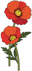 Poppy Twin Flowers